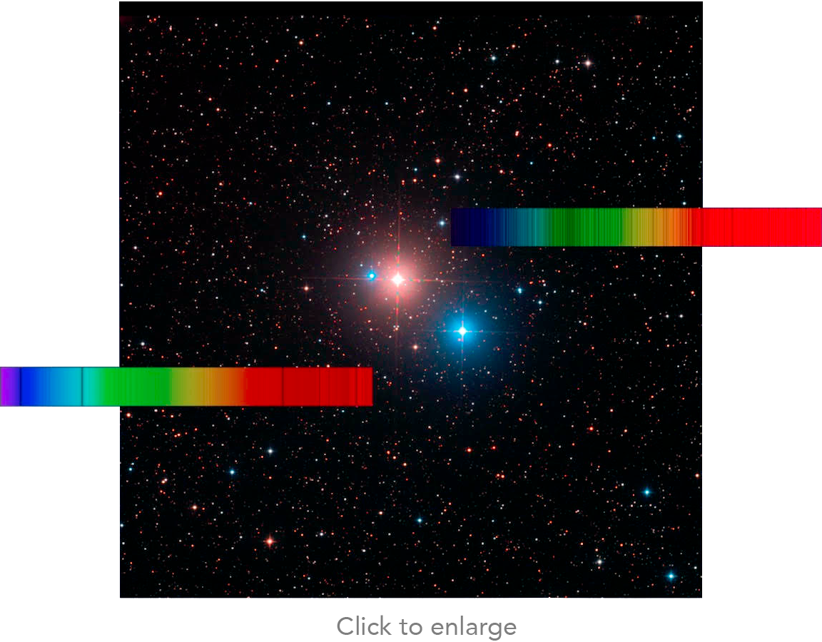 30 Cyg & 31 Cyg Spectra